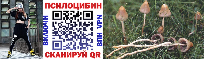 Псилоцибиновые грибы Magic Shrooms  Черноголовка 
